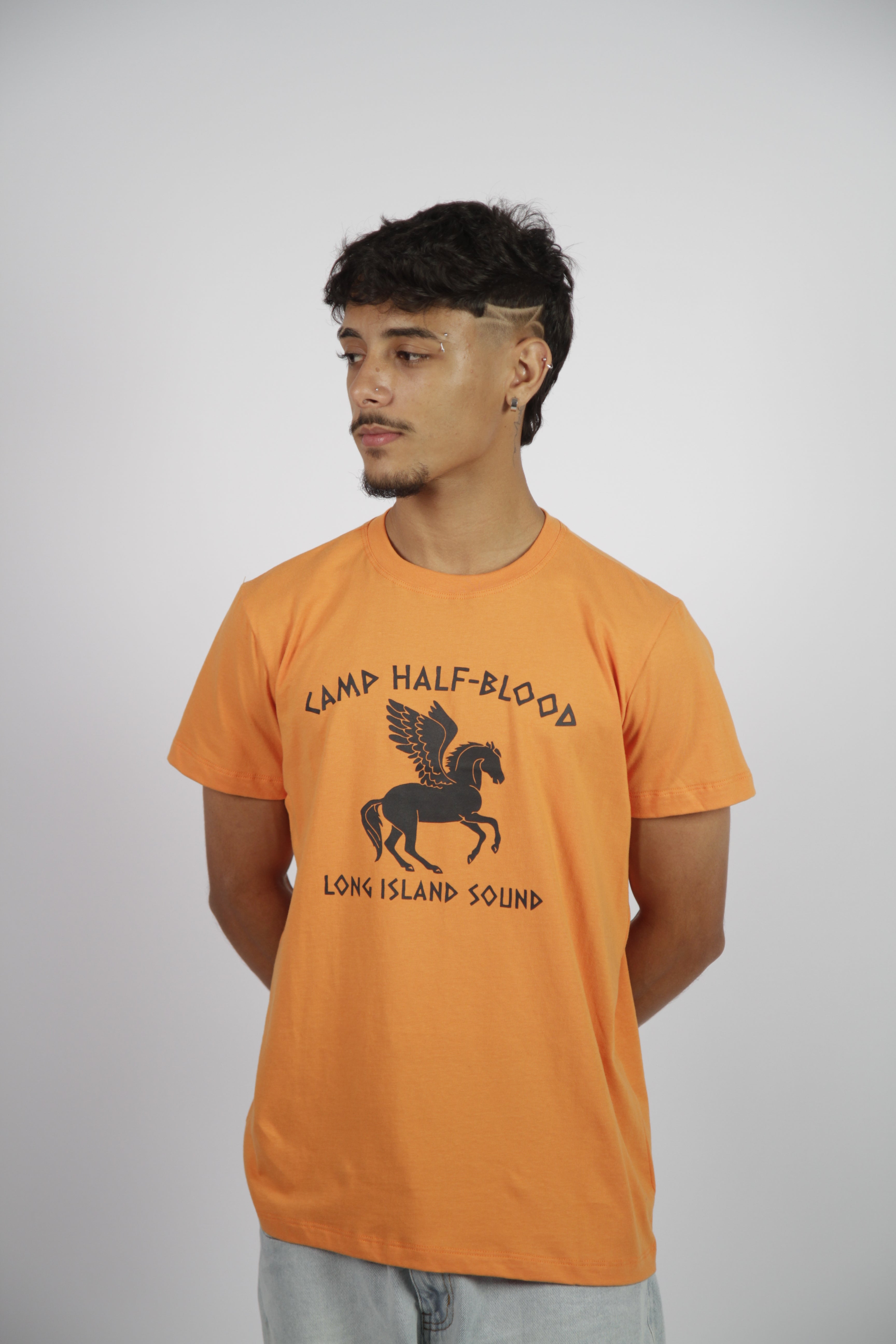 Camiseta Percy Jackson/Acampamento Meio-Sangue 100% algodão