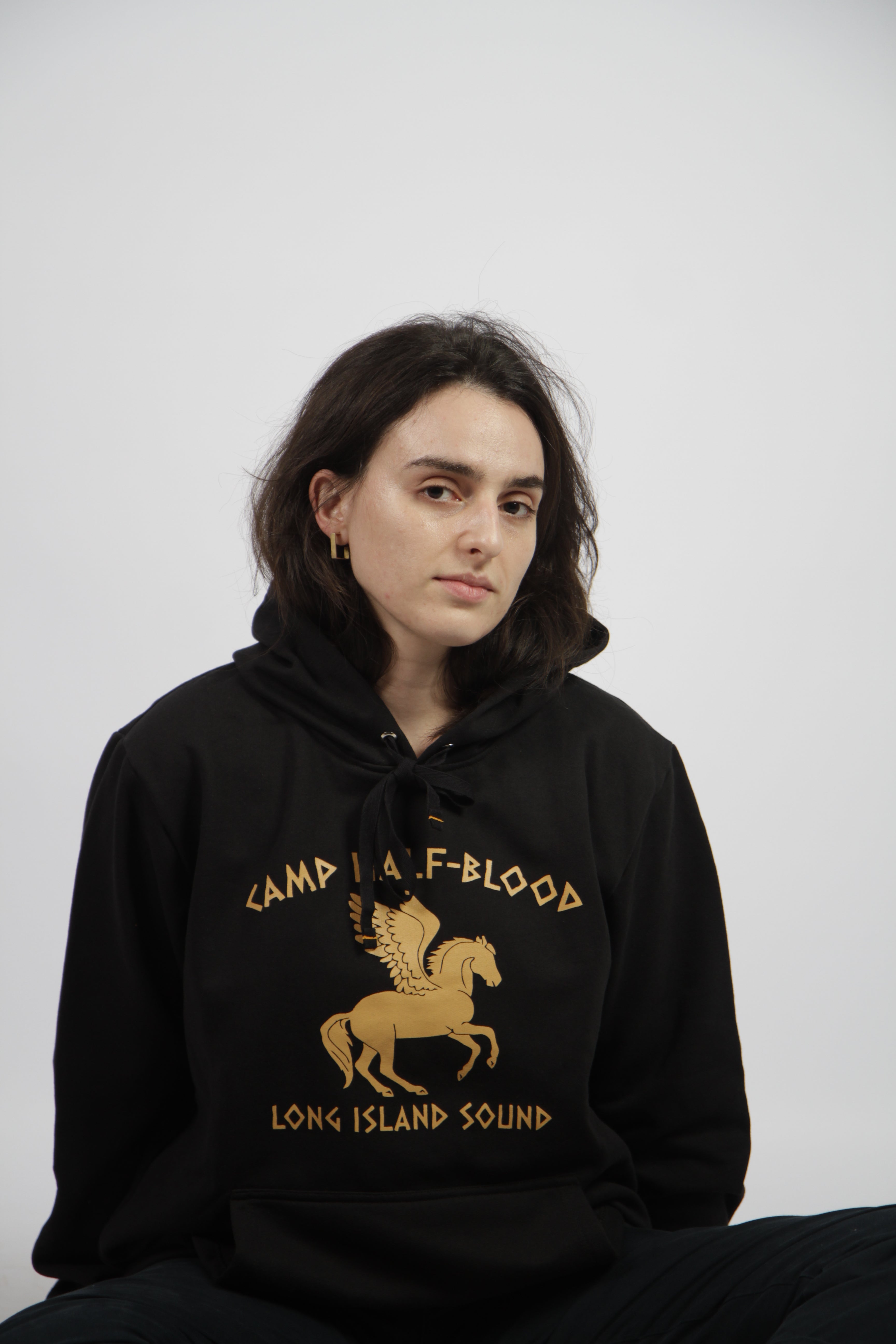 Moletom Percy Jackson / Acampamento Meio-Sangue (4 cores)