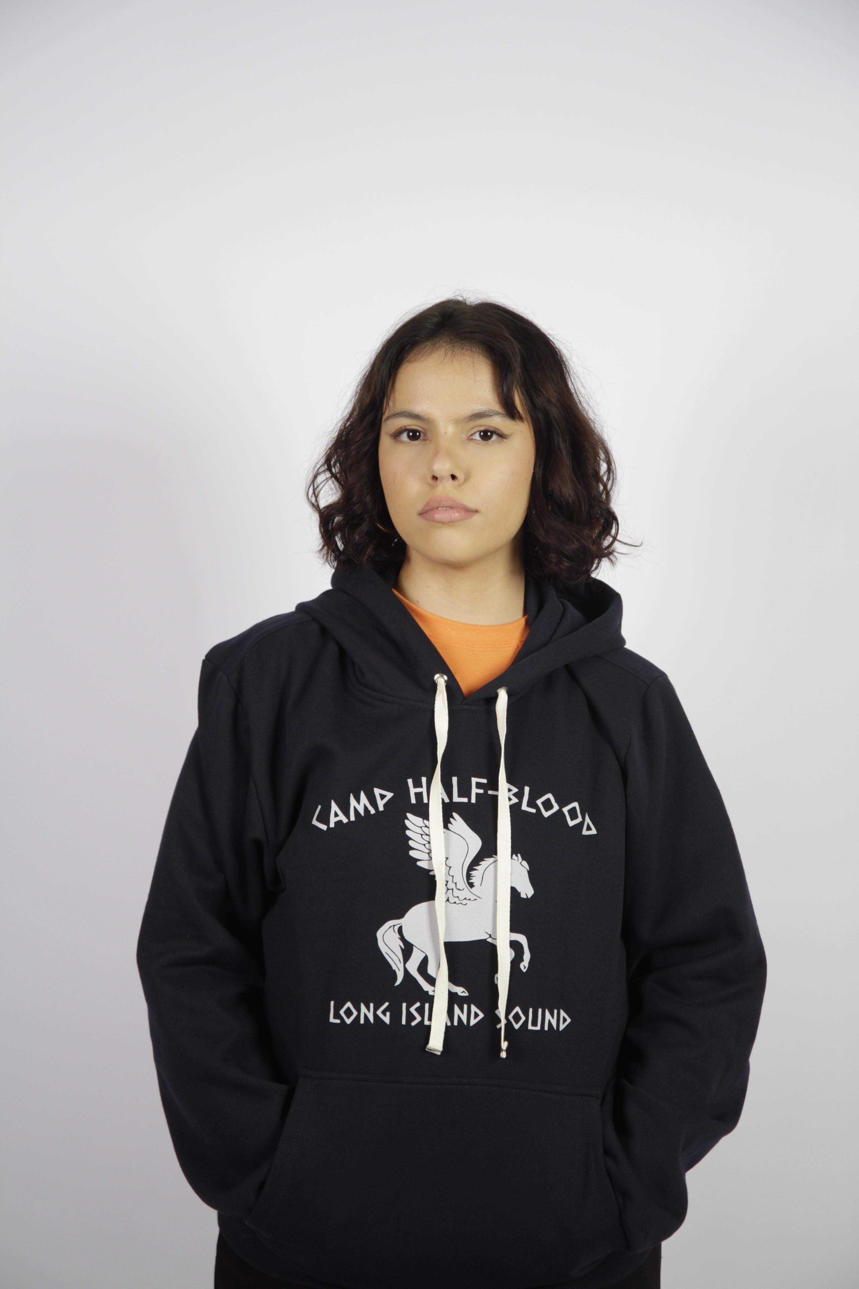 Moletom Percy Jackson / Acampamento Meio-Sangue (4 cores)